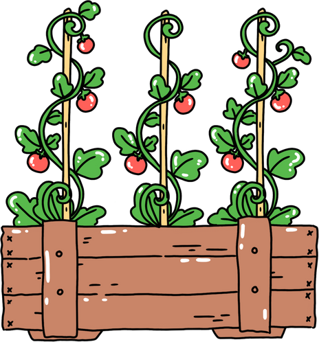 Cartoon Vegetable, Cute Tomato, Tomato vegetables illustration